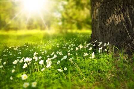 What does it mean when you see a white feather in heaven?