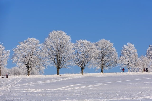 Meaning of the name Winter (General and Biblical)