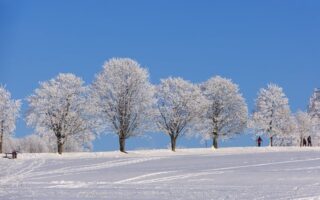 Meaning of the name Winter (General and Biblical)