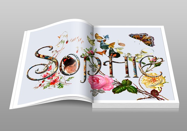 Meaning of The Name Sophie (Biblical, Spiritual & General)