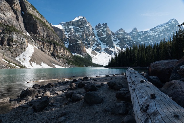 Meaning of The Name Alberta (Biblical, Spiritual & General)