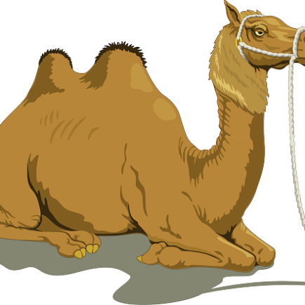 Biblical meaning of a Camel - Biblical symbolism explained