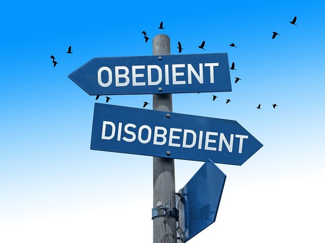 Biblical meaning of Obedience - Biblical symbolism explained