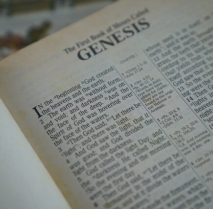 What is 'Genesis' in the Catholic Church?