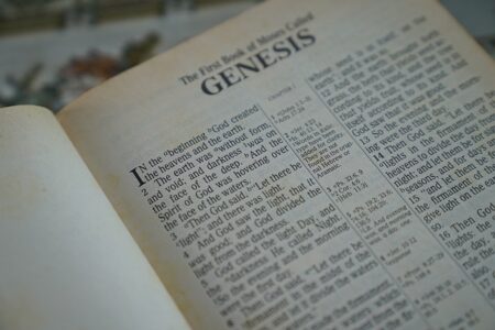 What is 'Genesis' in the Catholic Church?